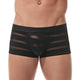 Boxer ENCORE +