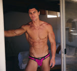 RENEGADE Brief