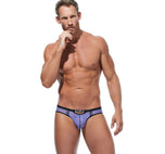 RENEGADE Brief