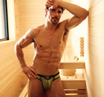 RENEGADE Brief