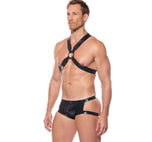 PYTHON Harness 2