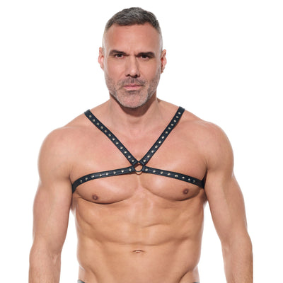 AFTERLIGHT Harness