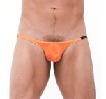 TORRIDZ Briefs