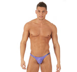 TORRIDZ Briefs