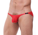 TORRIDZ Briefs