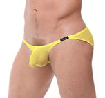 TORRIDZ Briefs