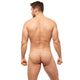 Tanga TORRIDZ