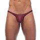Tanga TORRIDZ