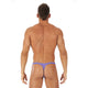 Tanga TORRIDZ