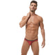 VOYEUR Briefs