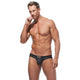 RENEGADE Brief