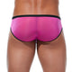 RENEGADE Brief