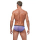 RENEGADE Brief