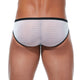 RENEGADE Brief