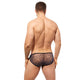 STARR Brief