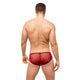 STARR Brief