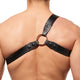 SOLID GOLD Harness