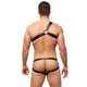 SOLID GOLD Harness