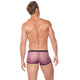 OUTLINE Boxer Brief