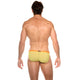 SLINGSHOT Brief