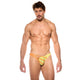 SLINGSHOT Brief