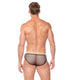 DRAGONFLY Brief