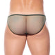 DRAGONFLY Brief