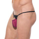 KISSER String