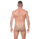 STRATA Briefs