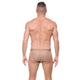 STRATA Briefs 2