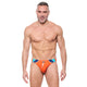 CRUISE CONTROL Swim Thong