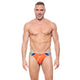 CRUISE CONTROL Swim Briefs