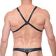 AFTERLIGHT Harness