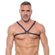 AFTERLIGHT Harness