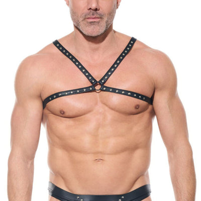 AFTERLIGHT Harness