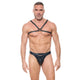 AFTERLIGHT Harness