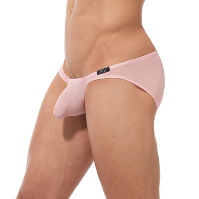 TORRIDZ Briefs