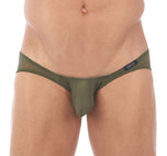 TORRIDZ Briefs