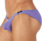 TORRIDZ Briefs