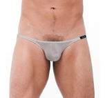 TORRIDZ Briefs