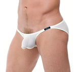 TORRIDZ Briefs