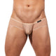 Boxer TORRIDZ