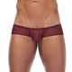 Boxer TORRIDZ