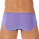 Boxer TORRIDZ