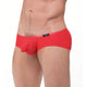 Boxer TORRIDZ