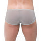Boxer TORRIDZ