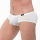 Boxer TORRIDZ