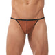TORRIDZ String