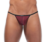TORRIDZ String