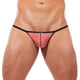 TORRIDZ String